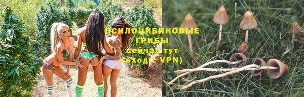 марки nbome Алексеевка