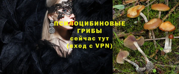 МДПВ Алзамай