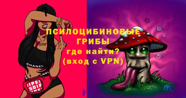 МДПВ Алзамай