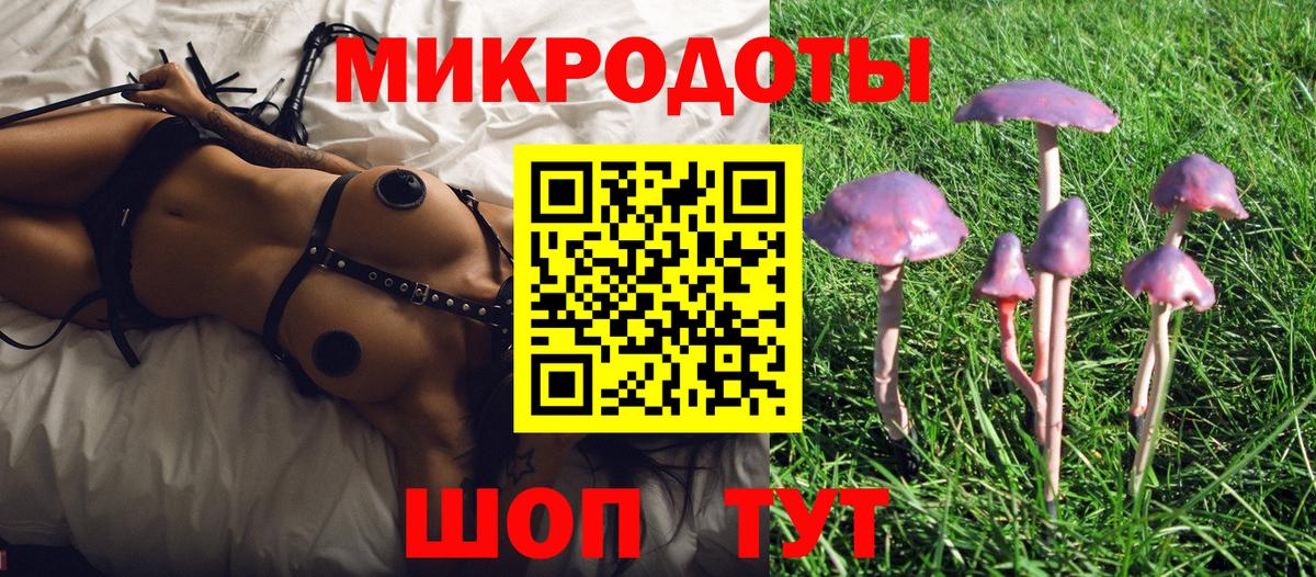 Муравленко  Псилоцибиновые грибы Psilocybe  Вход с VPN 
