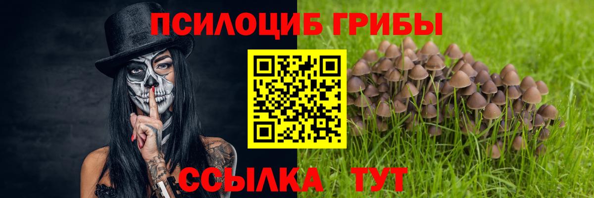 Галлюциногенные грибы Cubensis Муравленко