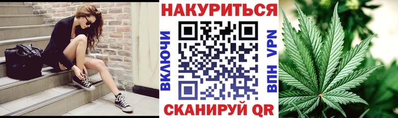 Шишки марихуана план  купить   Муравленко 